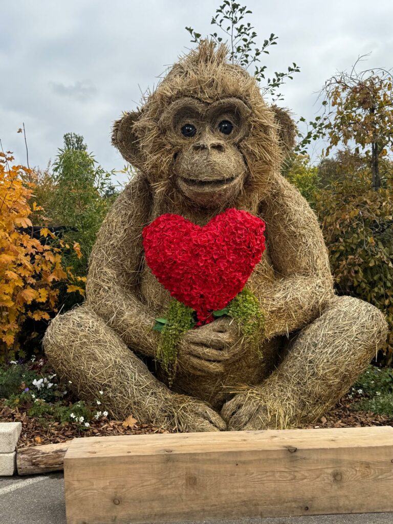 Visite à Folie Flore