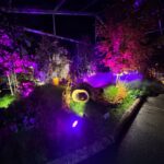 Visite à Folie Flore