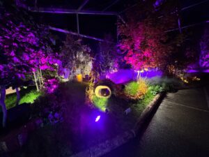 Retour sur la visite à Folie Flore